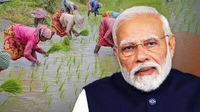 प्रधानमंत्री धन-धान्य कृषि योजना में यूपी के 3 जिलों के DM सम्मानित, कौन हैं वो आईएएस अफसर